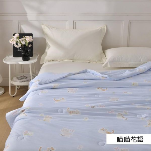 親膚涼感冰冰被(一組2件) 