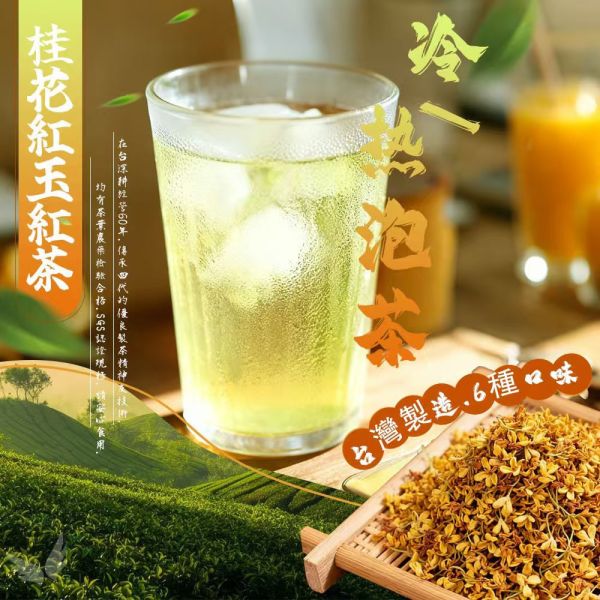 茶心果香養生冷熱飲茶包 