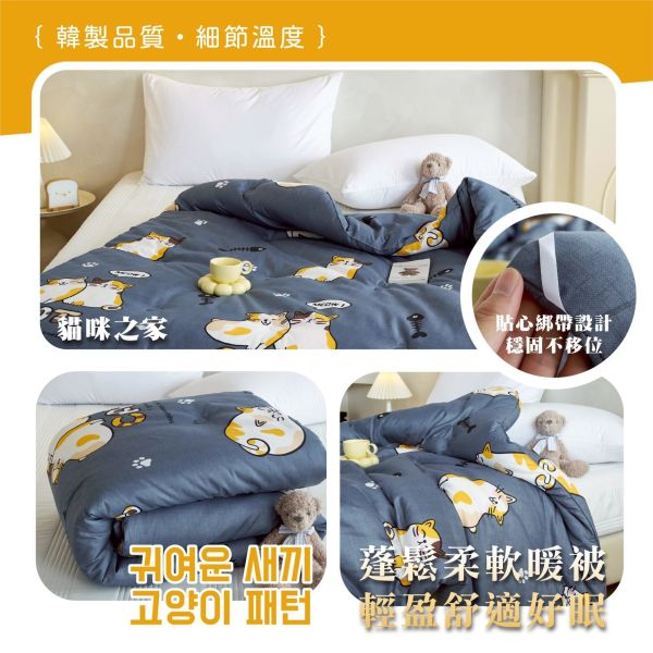 銀離子可水洗抗菌舒柔被(一組2件) 