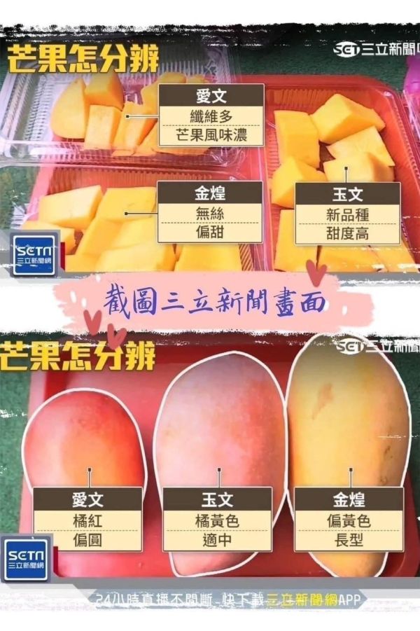 屏東枋寮金煌芒果10斤裝 