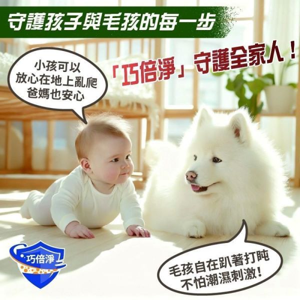 巧倍淨 小蘇打地板淨化液 2000ml(一組4瓶) 