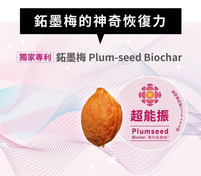 SUNECO專利鉐墨梅超能振復健襪-短襪(一組6雙) 