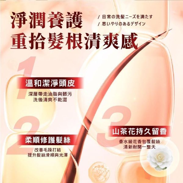 【安德森 保羅】山茶花奢養洗沐套盒 