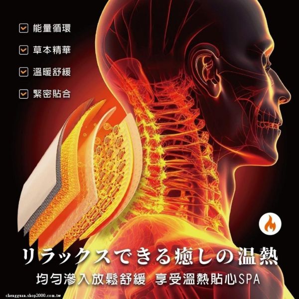 安德森保羅-石墨烯蒸氣暖頸貼(一組4盒) 