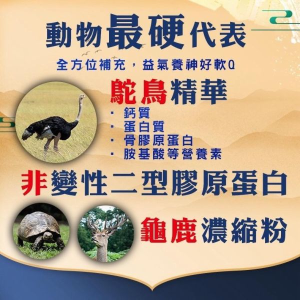 華寶生醫-龜鹿鴕鳥精(一組4包) 