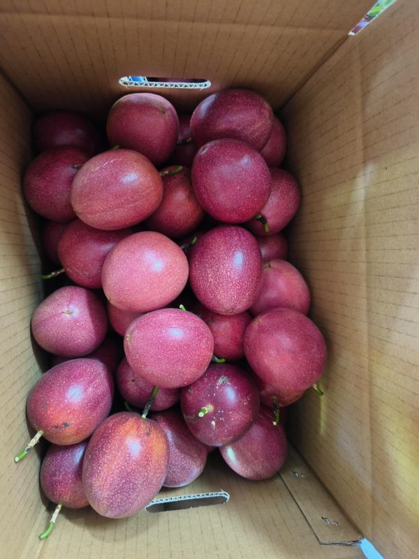 甜蜜蜜百香果(新品種)10台斤 