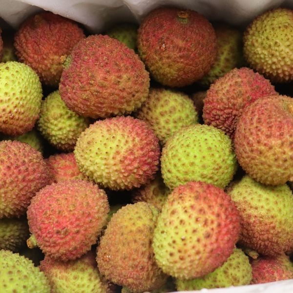 大樹玉荷包-5斤 玉荷包,荔枝,高雄,大樹,水果,產地直送,農產品,預購,伴手禮