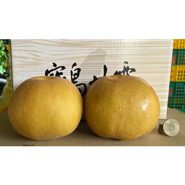 台灣寶島甘露梨 寶島甘露梨,台灣獨特品種,高接梨,新興梨,晶圓梨,友善環境栽培,不使用除草劑,禮盒,中秋禮盒,水果禮盒
