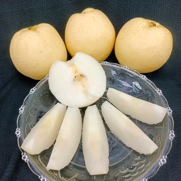 頂級黃金梨 