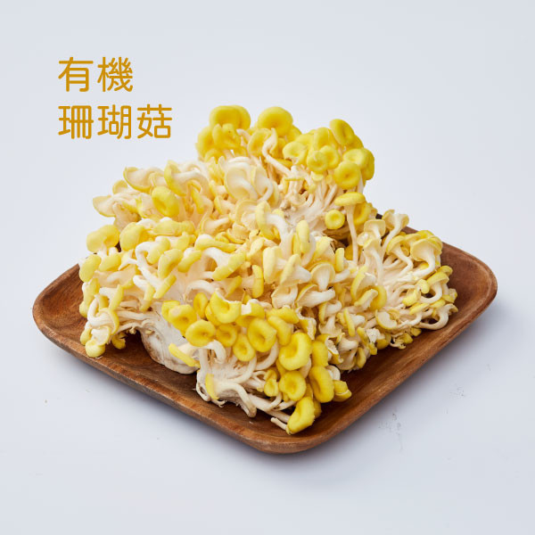 美安大會 南投有機友善耕作蔬菜箱 
