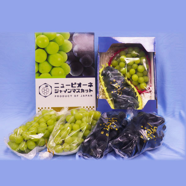 戀戀雙色葡萄禮盒 麝香葡萄,台灣麝香葡萄,麝香葡萄,巨峰葡萄,友善環境栽種,高級水果禮盒