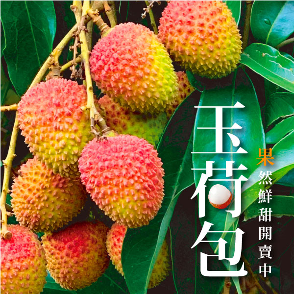 古坑玉荷包 玉荷包,荔枝,古坑,當季水果,產地直送,農產品,伴手禮