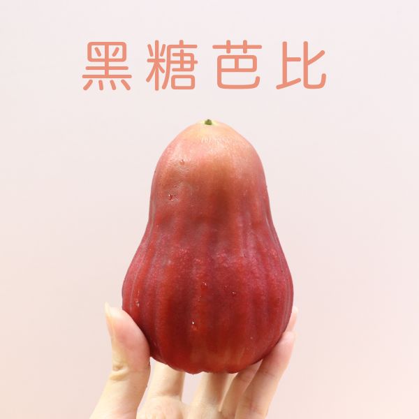 頂級高山蓮霧黑糖芭比 蓮霧,黑糖芭比,高山蓮霧,友善環境栽種,一年一採, Wax Apple,高級水果禮盒,禮盒,中秋禮盒,水果禮盒