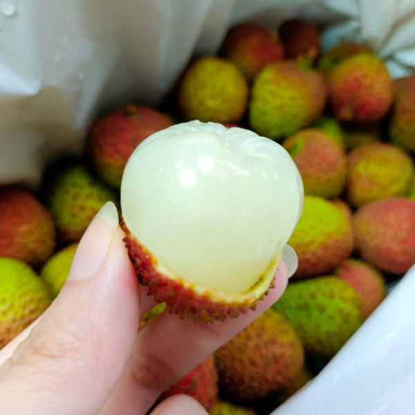 大樹玉荷包-5斤 玉荷包,荔枝,高雄,大樹,水果,產地直送,農產品,預購,伴手禮
