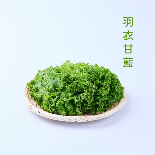 桃園有機蔬菜箱 