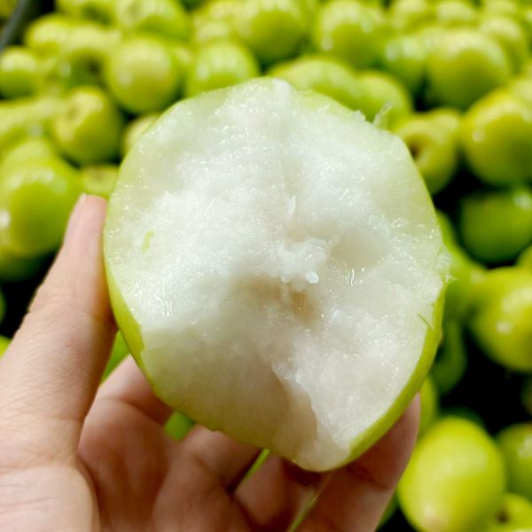 頂級新蜜王蜜棗禮盒 水果,當季水果,棗子,新蜜王,產銷履歷,健康無毒,草生栽培,在地精選,新鮮好物,產地直送,高雄特產