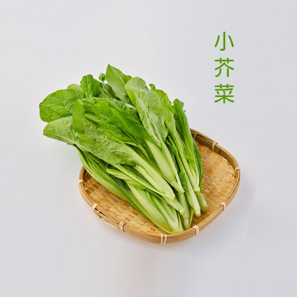 美安大會 花蓮有機蔬菜箱 