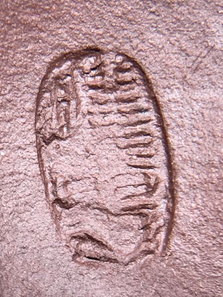 1980年如意松鼠葡萄茶壺 