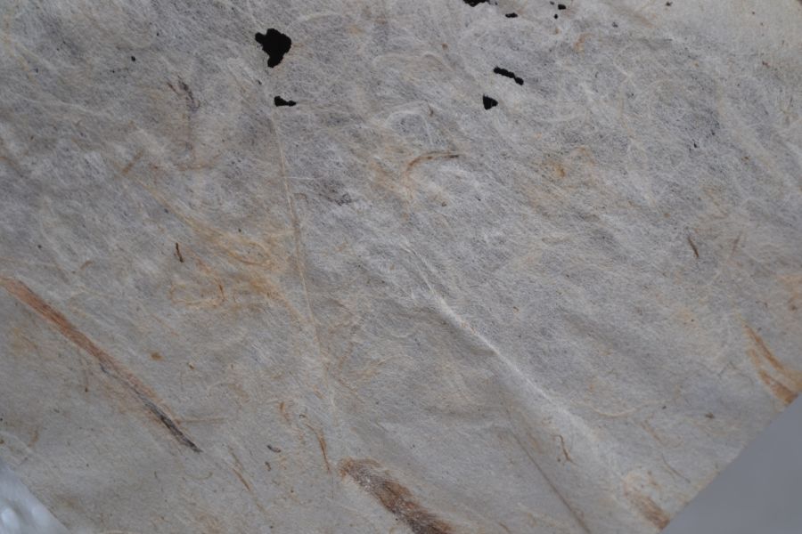 2004車順號(單一純料) 