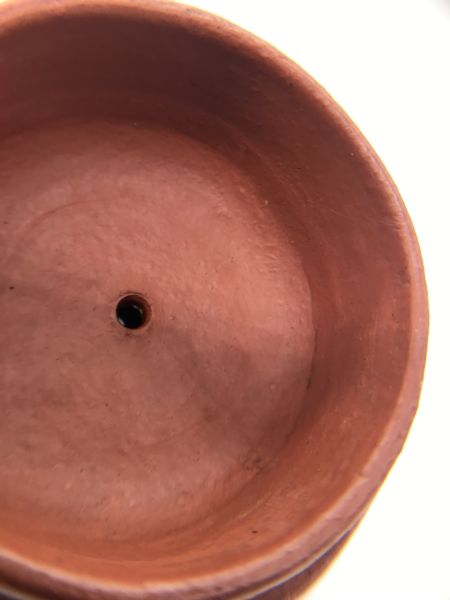 1980年蓮子茶壺(朱泥)(作者:清末花印(不詳)) 