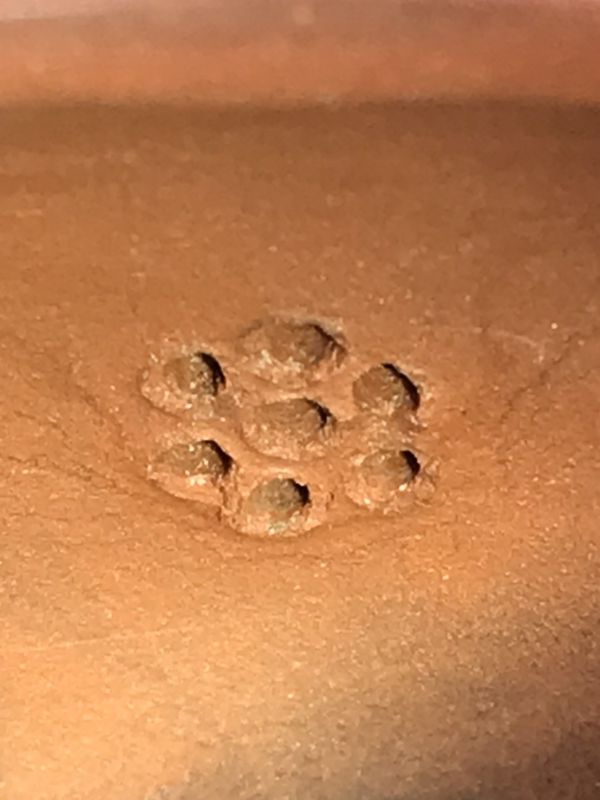 1990年富貴壺(作者:荊溪)(紅土) 