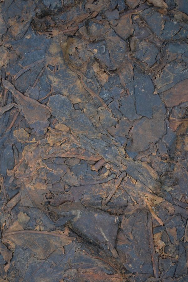 1993湖南黑茶1300g 