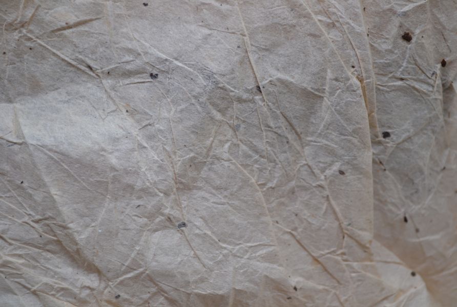 2007勐海易武正山喬木野生(特級品)(單一純料) 