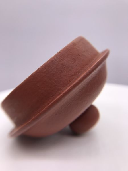 1885年容天壺( 作者:河道洪) 