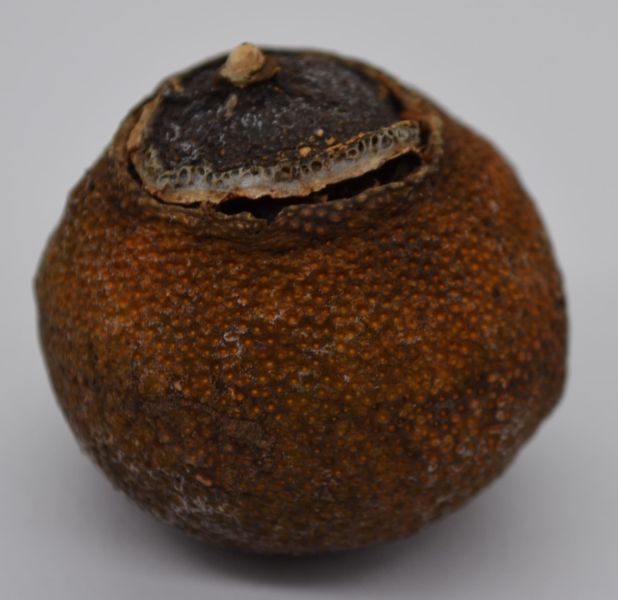 2015小青柑(1台斤4000) 