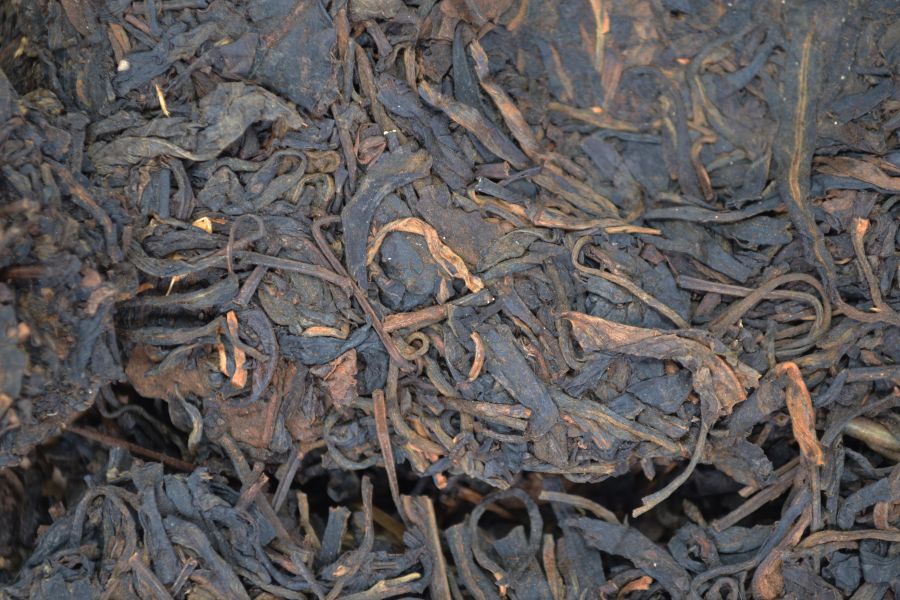 2005思普源江城號 