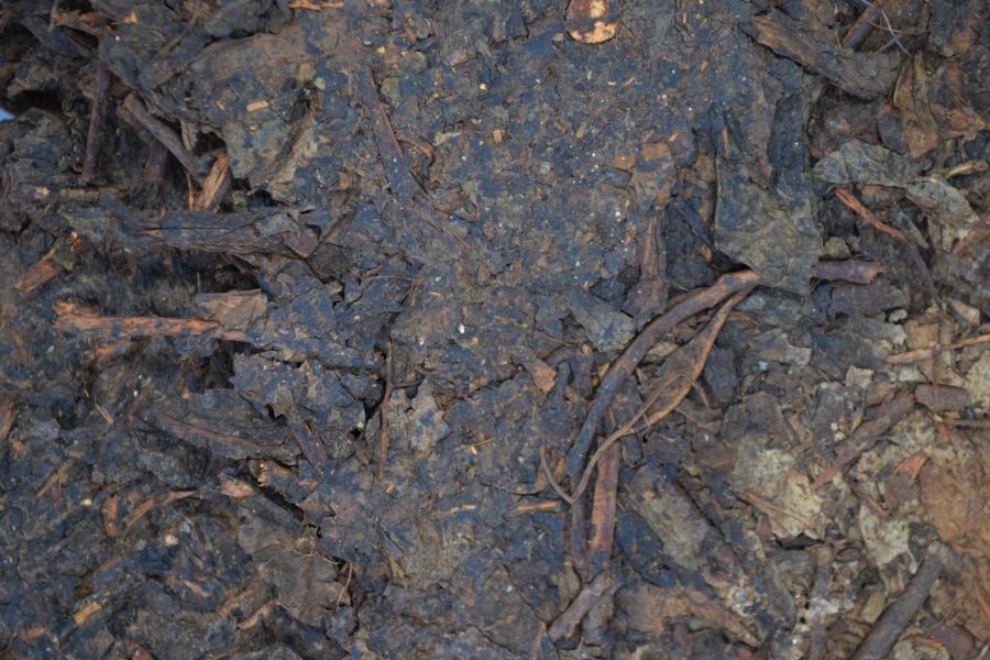 1970藏茶蔘香藥香花磚茶 