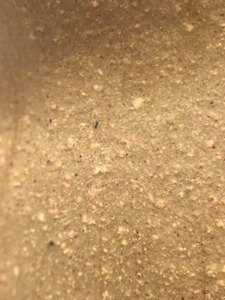 1980年早期(段泥)茶海(中國宜興) 