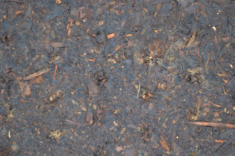 2007寶焰牌1000g(單一純料) 