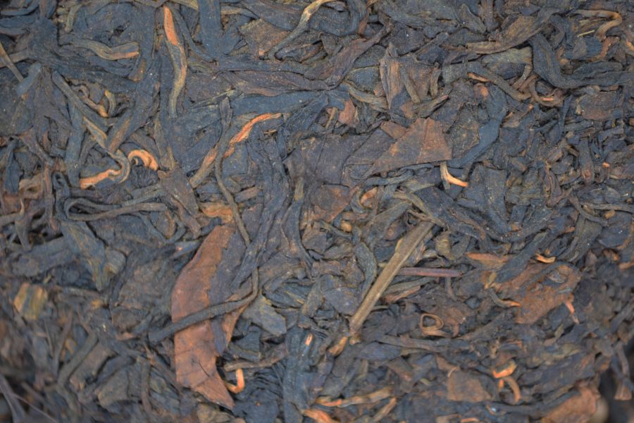 2005思普源江城號 