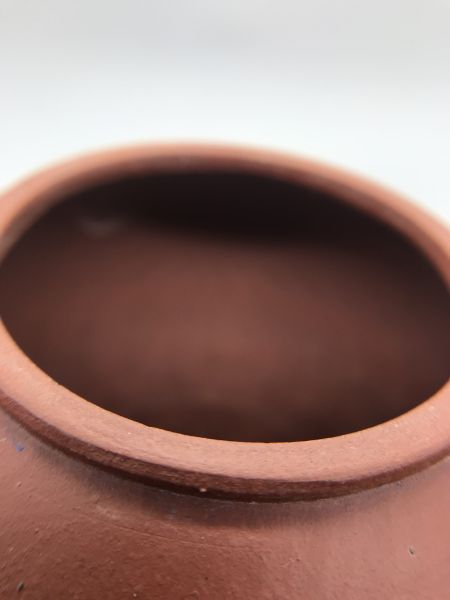 1990標準壺內紫外紅茶壺 