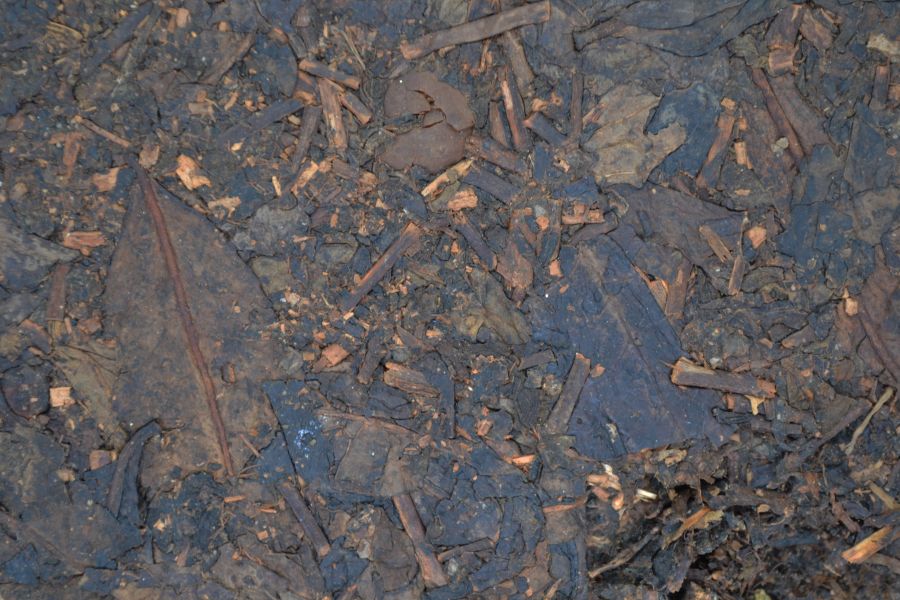 1993湖南黑茶1300g 