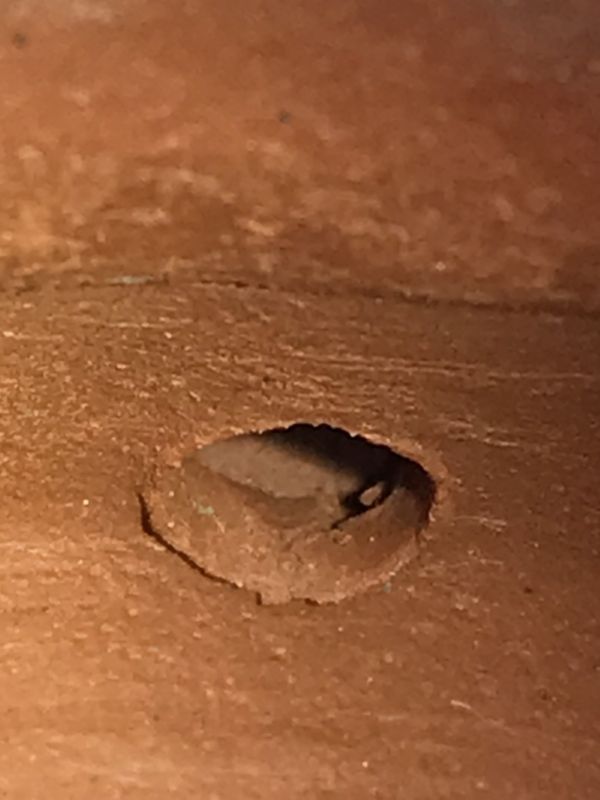 1990年3杯小芭樂壺(紅土)(作者:中國宜興(秀琴)) 