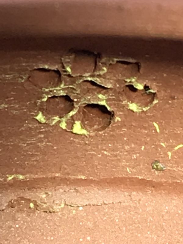 1970年羅漢壺(紅紫砂)(作者:中國宜興) 