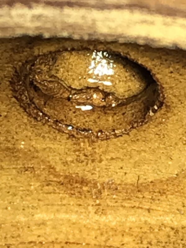 1980年壽桃壺(段泥)(作者:陳文居) 