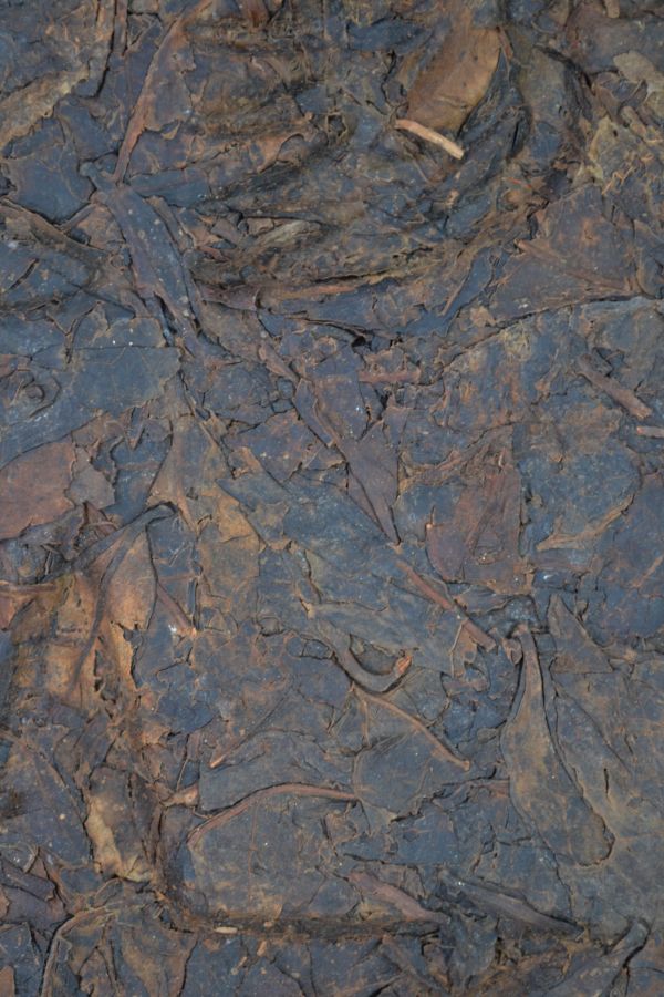 1993湖南黑茶1300g 