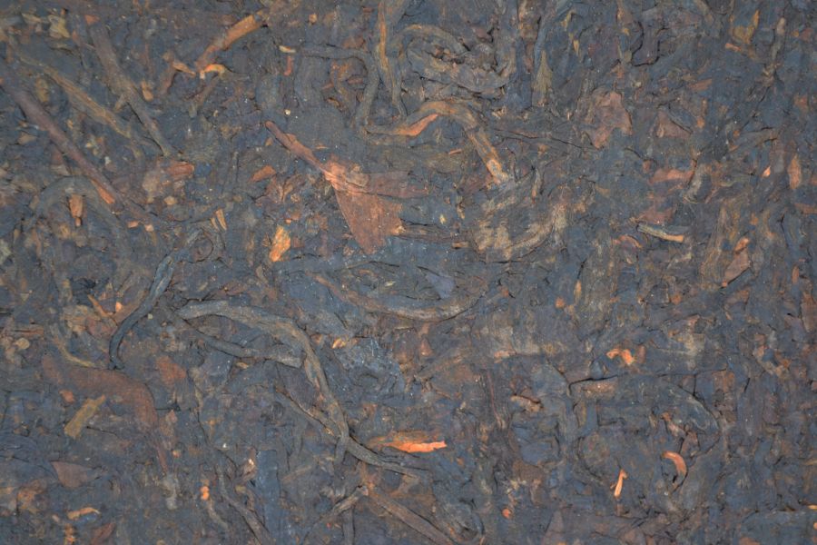 2001昆明(野生)500g生磚 