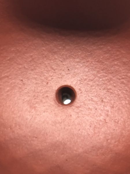 1990年仿古甕型茶壺(朱泥)(作者:福享真造) 