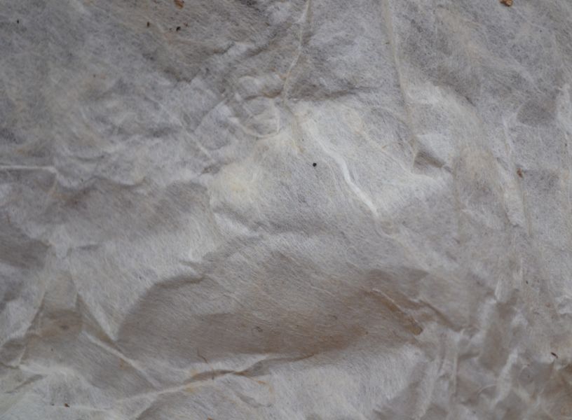 1990藍宋聘茶餅(單一純料) 