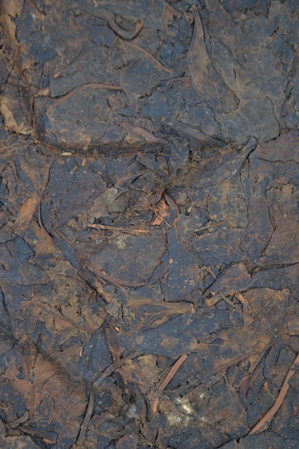 1993湖南黑茶1300g 