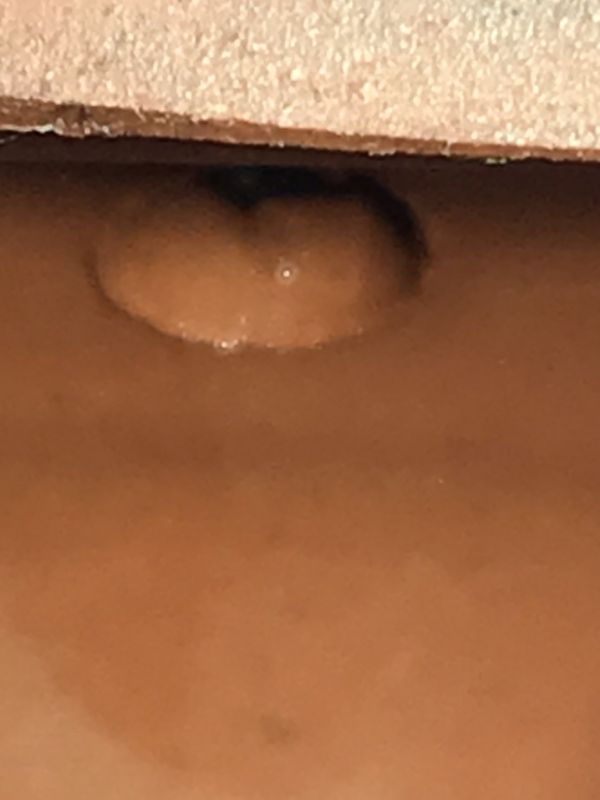 仿時大彬泥繪竹簡龍身壺(紫砂清水) 