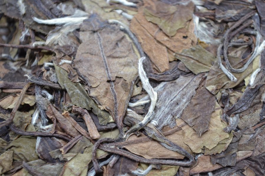 福鼎白茶牡丹尾茶餅 