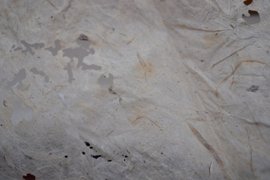 2004車順號(單一純料) 