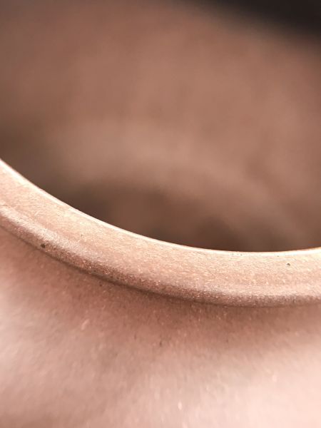 1970年中葡萄報春豐收(中國宜興) 