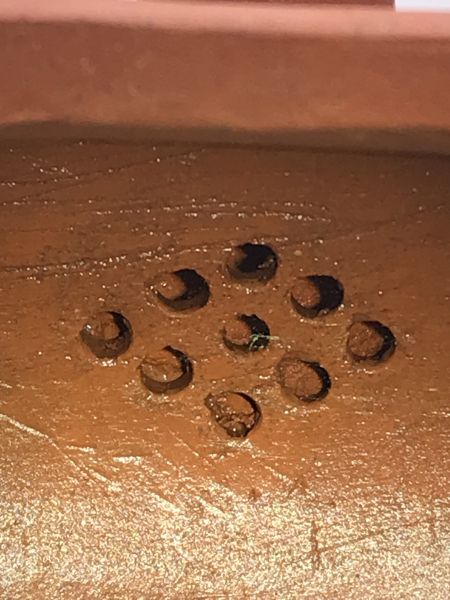 1980年(紅土)六方如意壺(作者:周桂珍) 