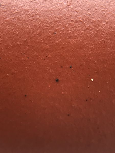 近代(朱泥)六方壺 